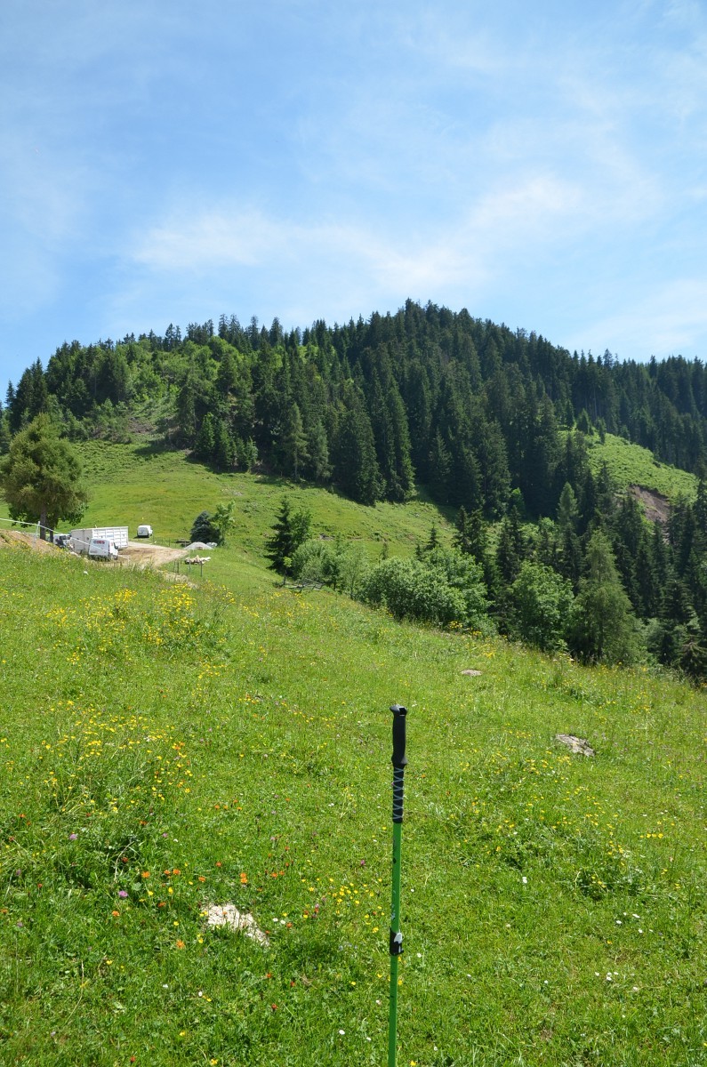 Peilung Trassenrichtung