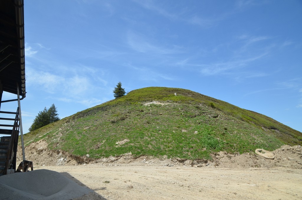 Südflanke am 14. Juni
