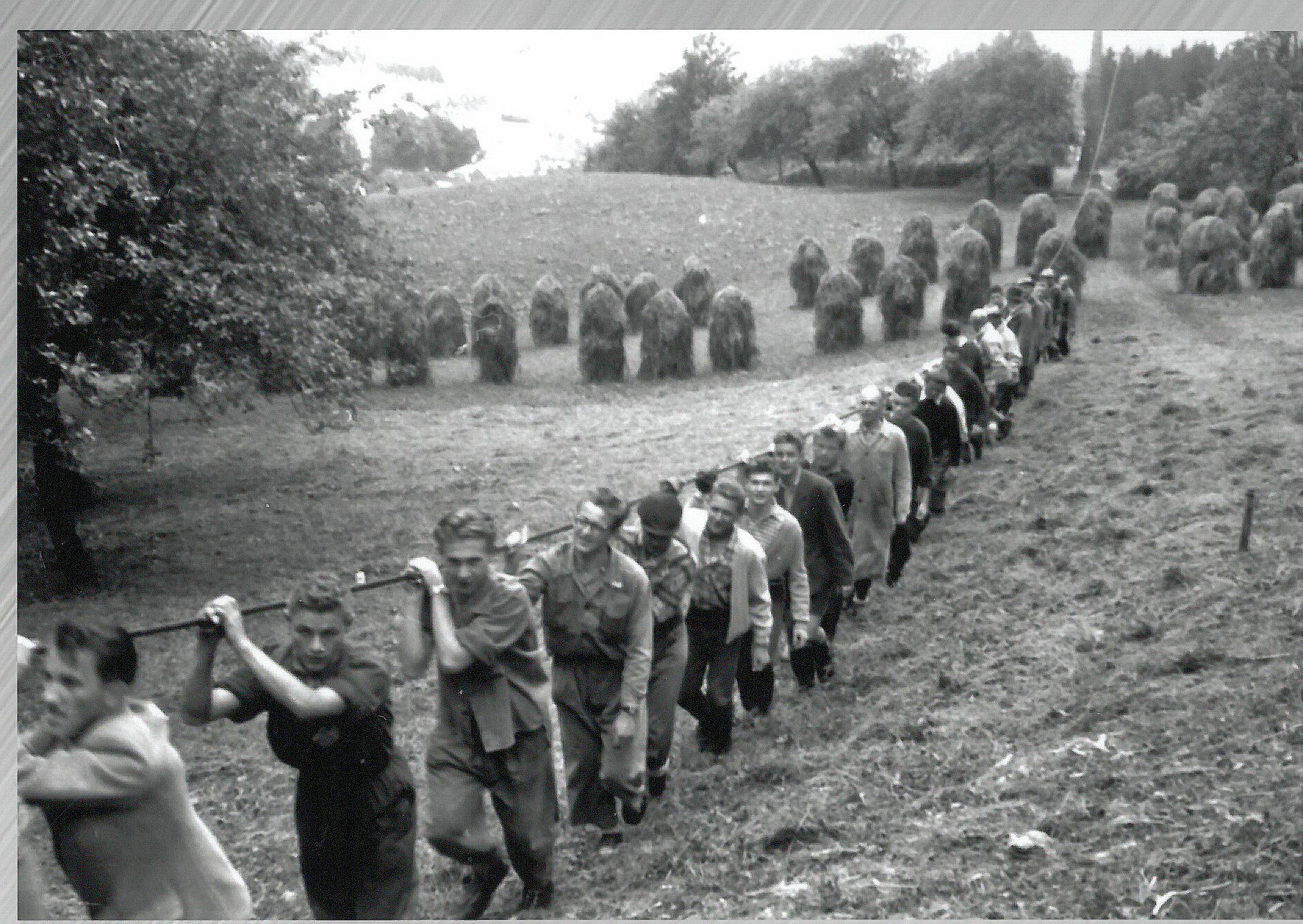 Erbauung des Swoboda Wurbauerkogel  (12).jpg