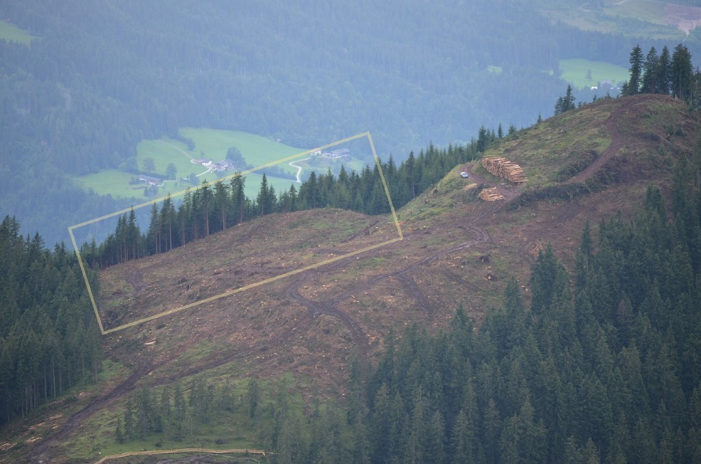 Von mir vermuteter Ort des Speicherteichs.