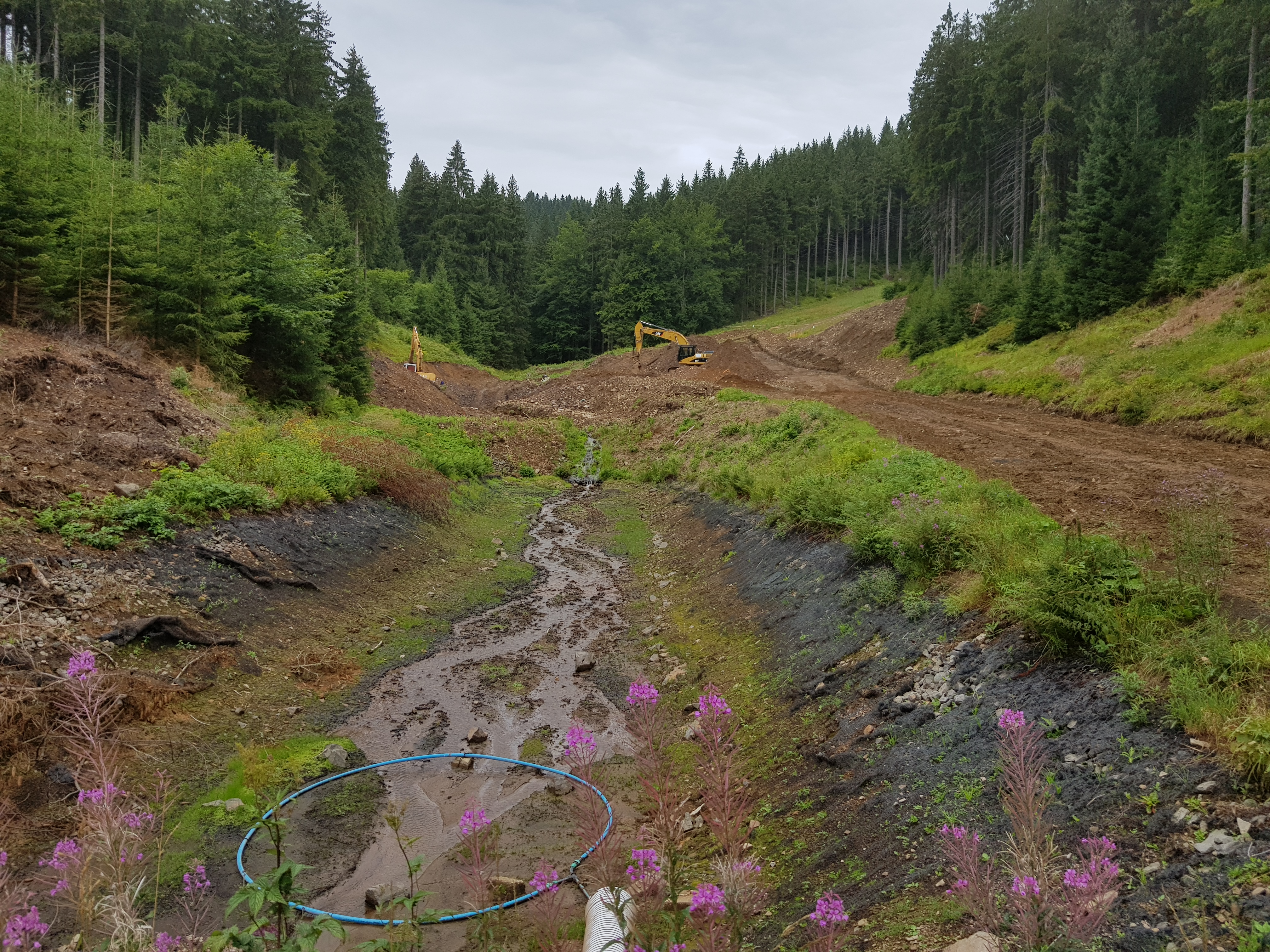 Blick von der Talstation Richtung ( neuer ) Schneiteich