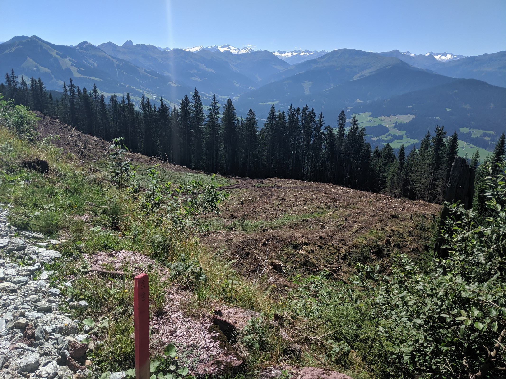 Abholzung Kleine Salve 1