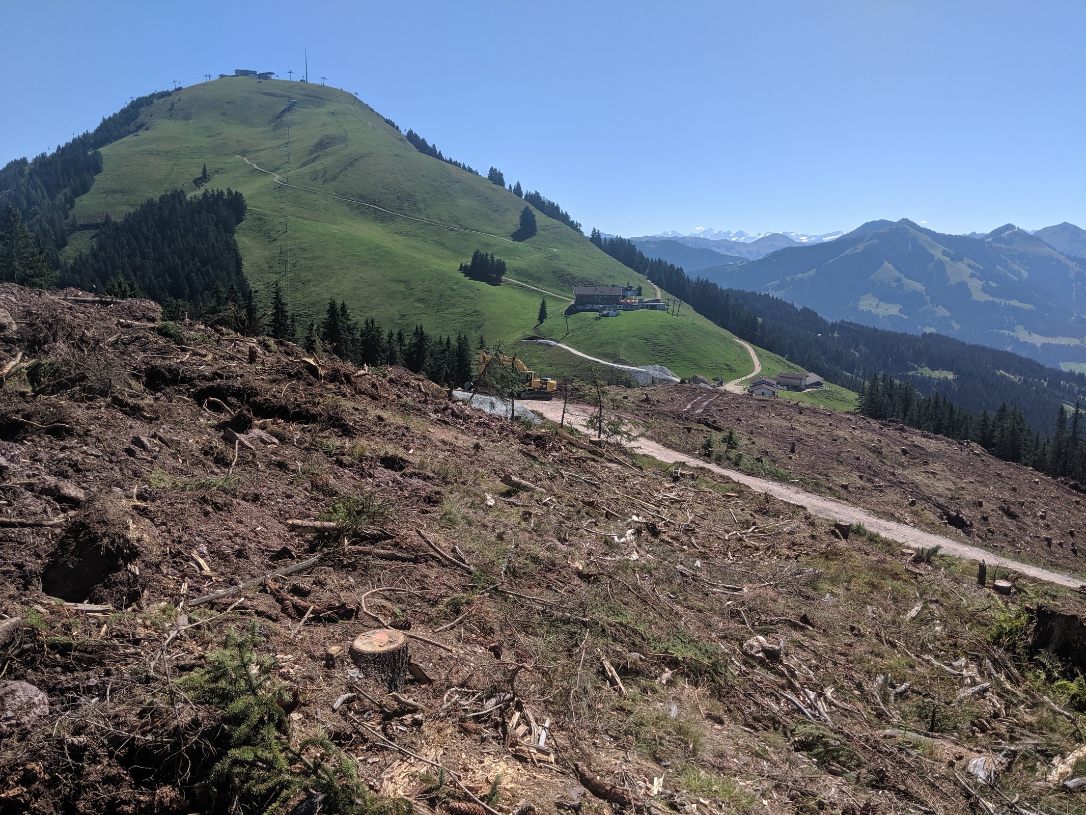 Abholzung Kleine Salve mit Blick zur hohen Salve 2