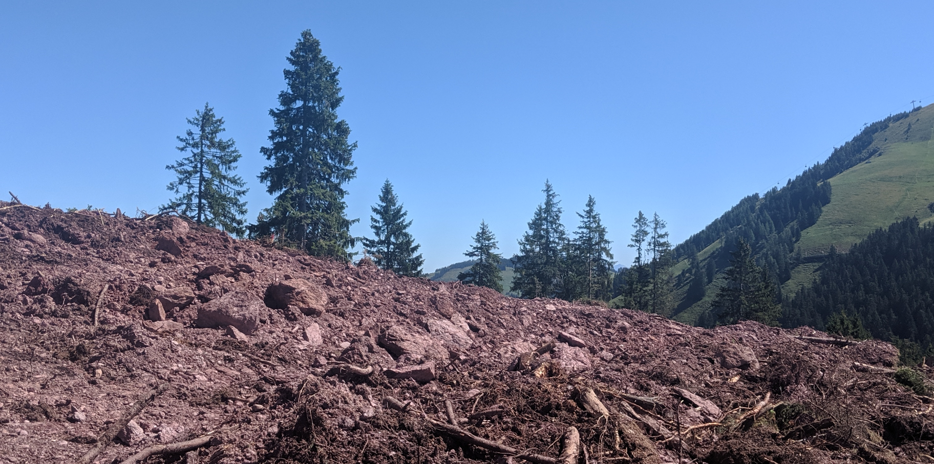 vor dem großen Baum befindet sich ein roter Pflock - hier wird wohl ein Eckpunkt der Station sein