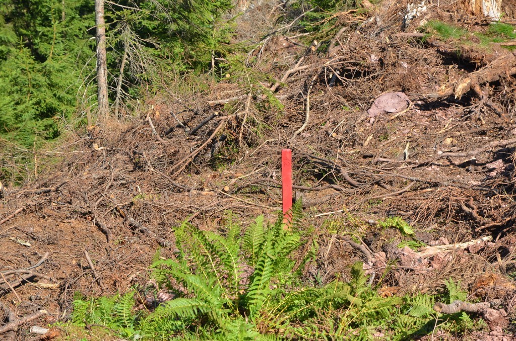 Stützenmarkierung 12