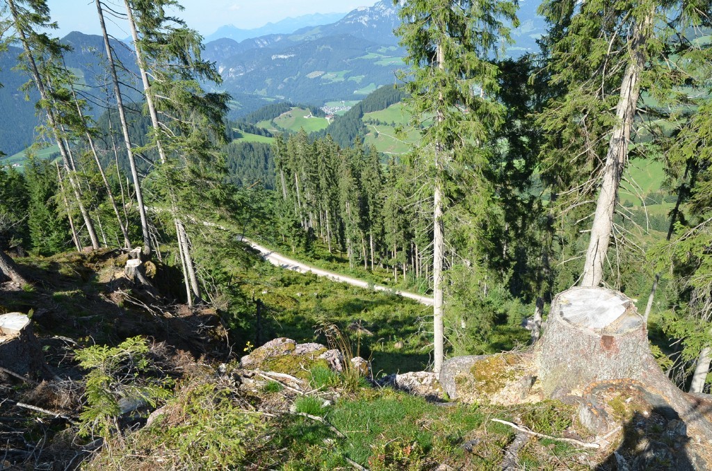 Blick nach N entlang der Trasse