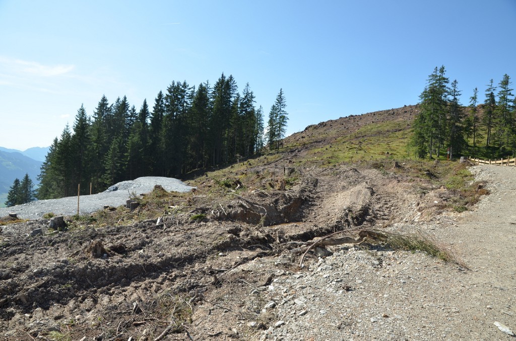 Pistenbereich südlich des Technikzentrums