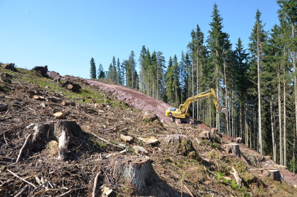 Nordöstlicher Pistenrand Mitte