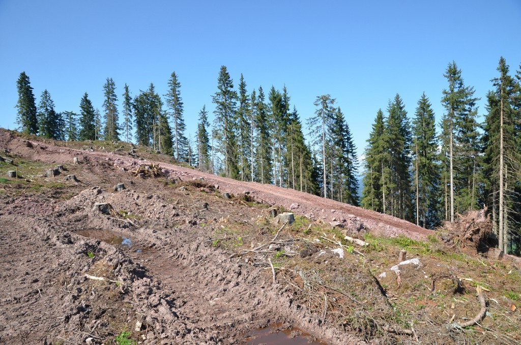 Nördlicher Pistenrand oben