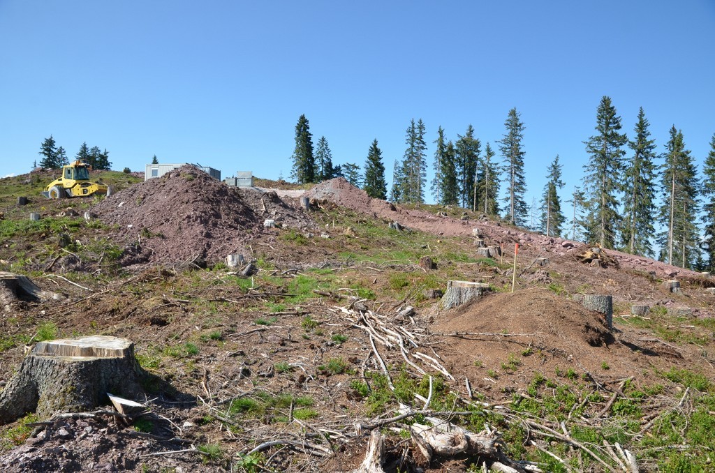 Pistenteil Richtung Bergstation