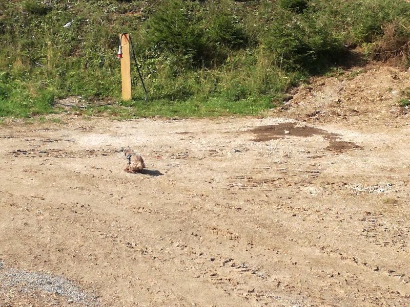 Präbichlbaustelle Igyund Maus 05.09 (8).jpg