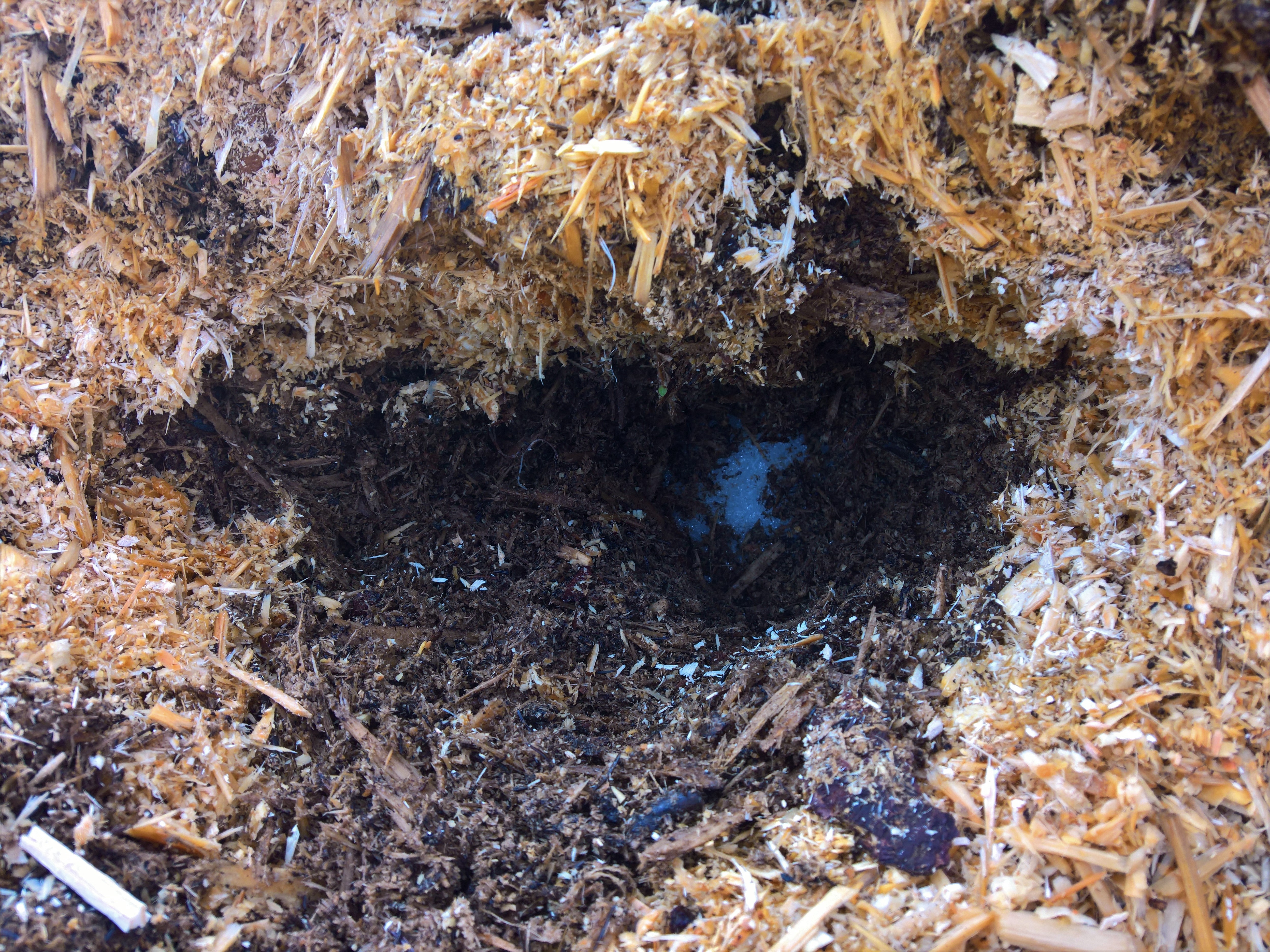 Einmal Probe gezogen vom "Schnee von gestern" (und natürlich wieder dick verschlossen)