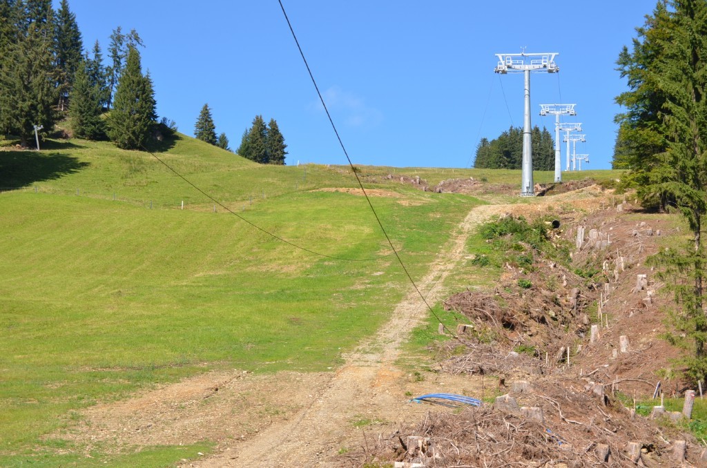 Bachbett am Pistenrand