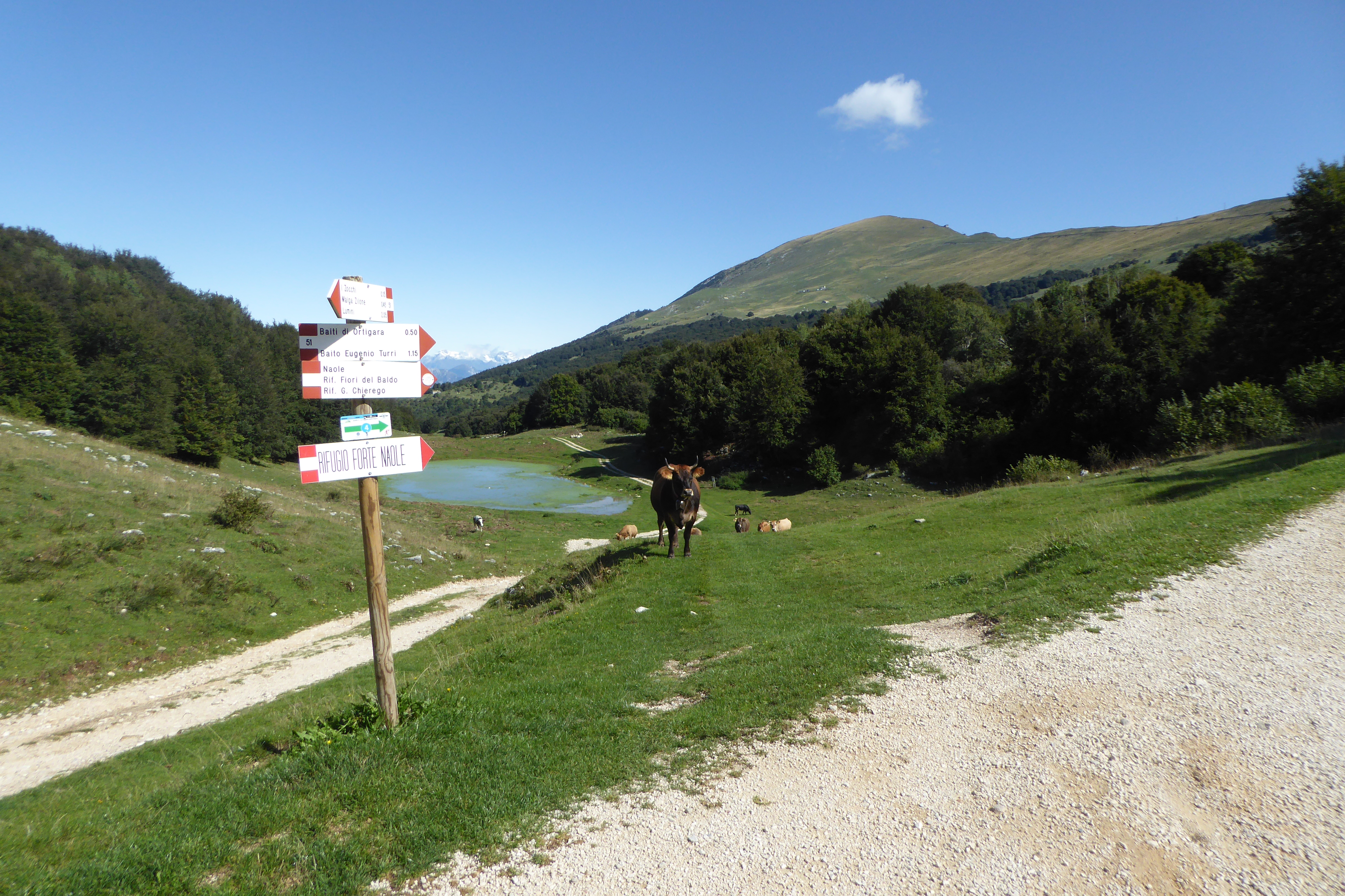 20190909 10-07-44 Gardasee2019 0001.JPG