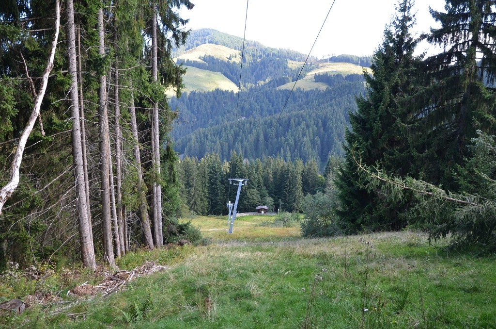 Zurück auf die SL-Trasse