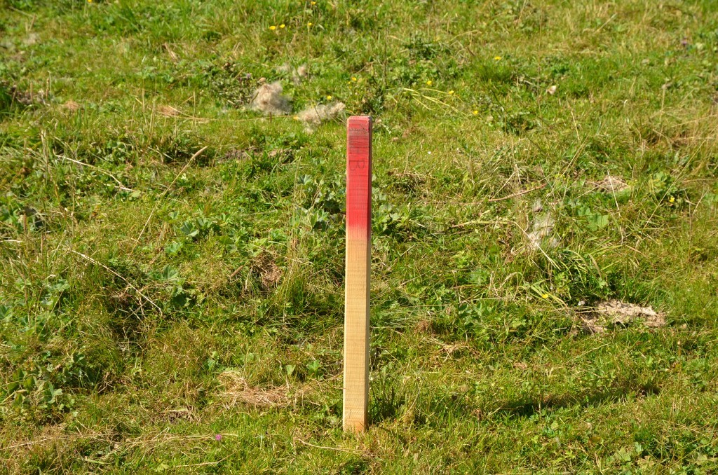 Markierungspflock "EBB" (vermutlich Ende Bahn Berg)
