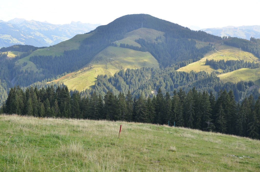 Markierung Stütze 8 Blick talwärts