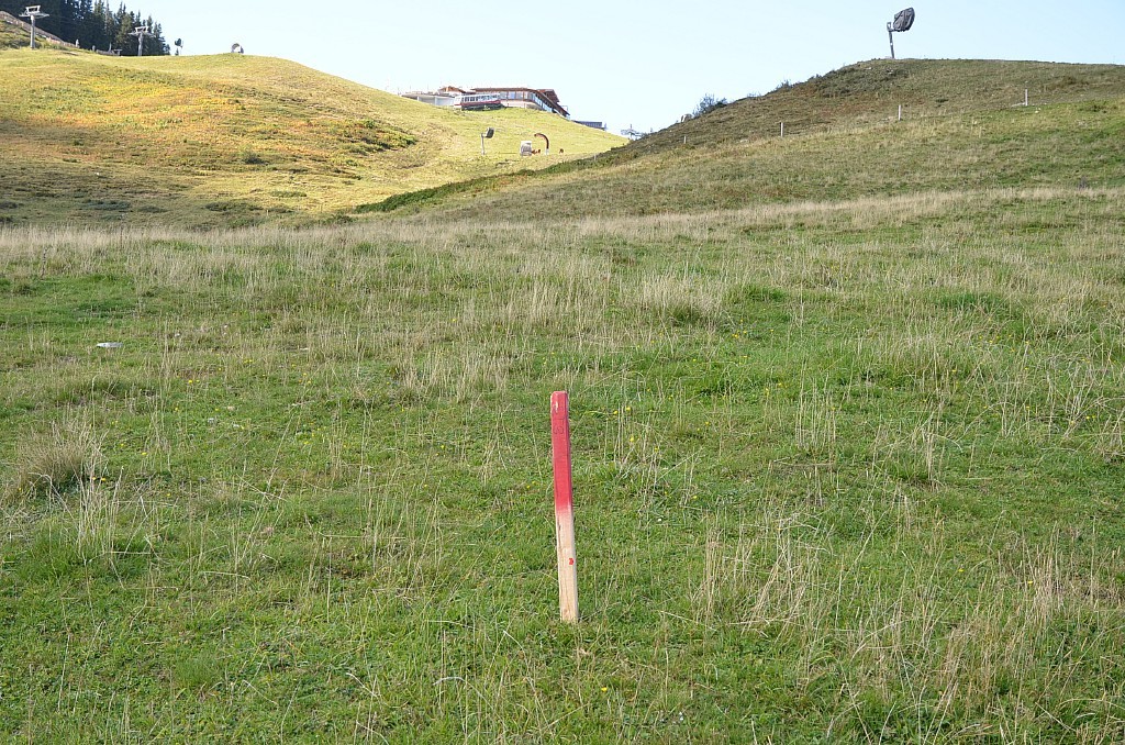 Markierung Stuetze 8 Blick bergwärts