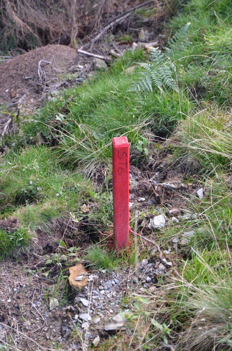 Markierungspflock St. 6 am unteren Rand der Diagonalpiste