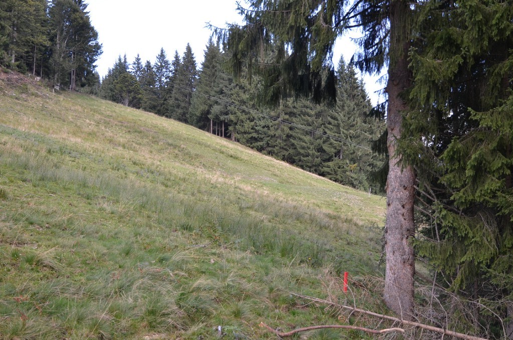 Markierung St. 6 westlich der SL-Trasse