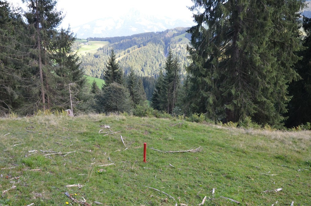 Markierung St. 5 Blick talwärts