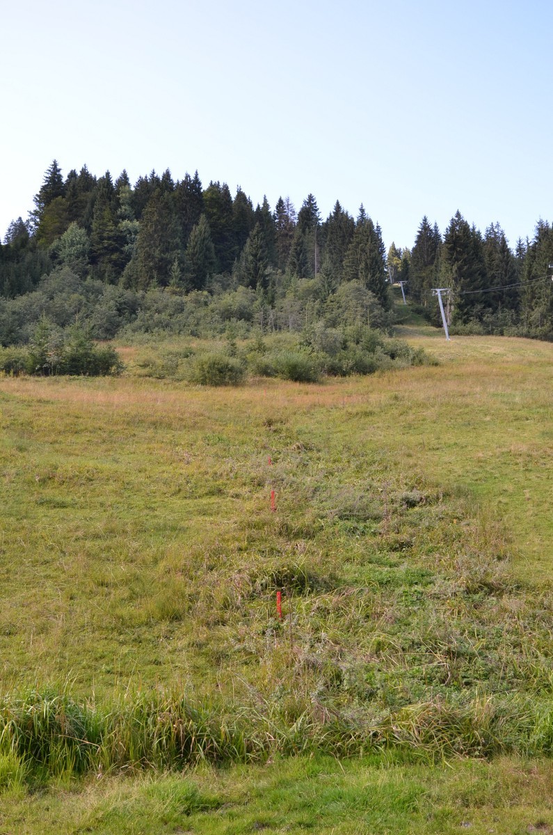 Talstation (EBT) und Stützen 1, 2 und 3