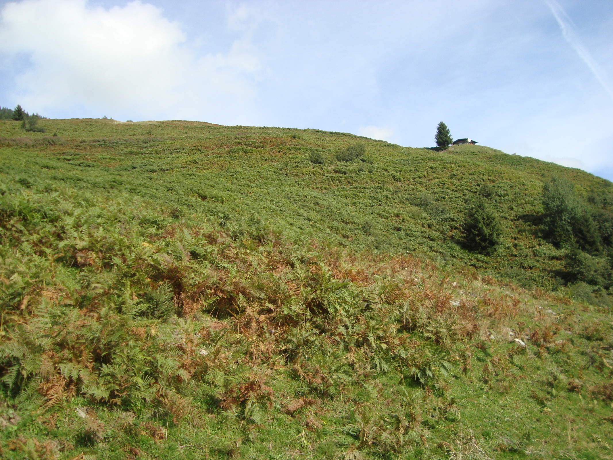 Über diesen Hang würde die Südpiste an der alten und ganz alten Talstation hinunterführen.