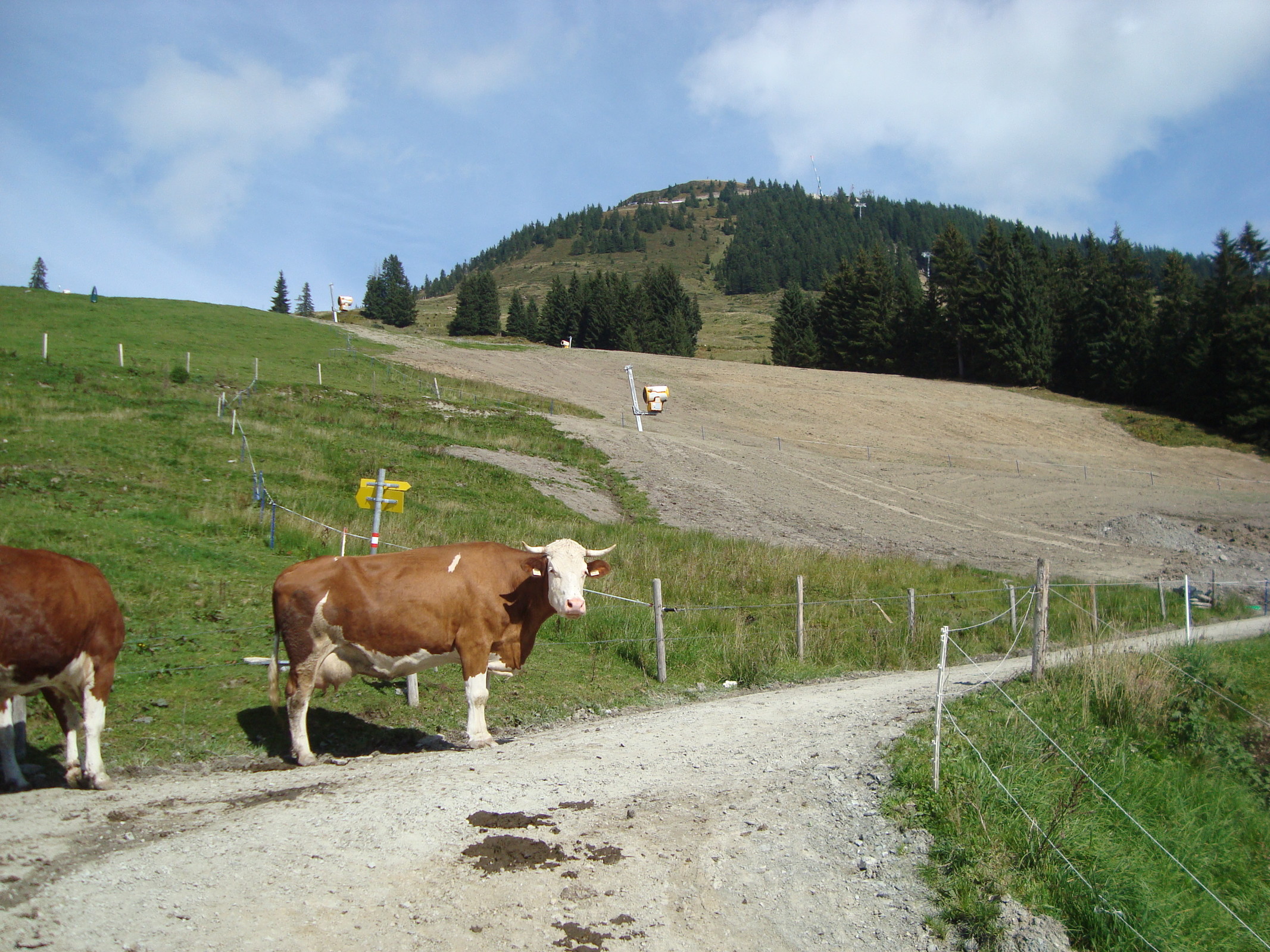 Fleiding Wanderung 13.9.2019 153.JPG