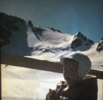 Man erkennt sehr gut den einspurigen Weg zum Steilhang, Juli oder August