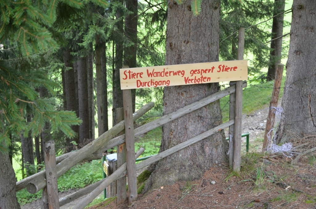 An aktuelle Rechtsprechung angepasster Sperrversuch