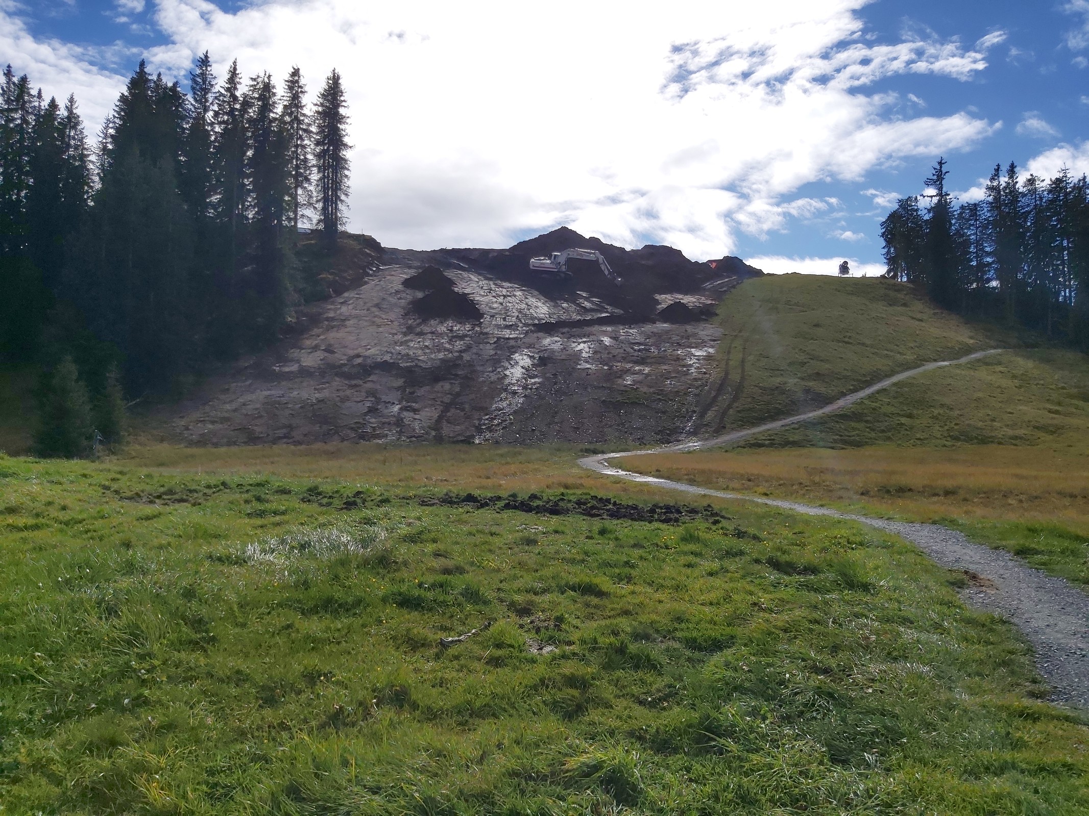Pistenverbreiterung Richtung Aualmbahn