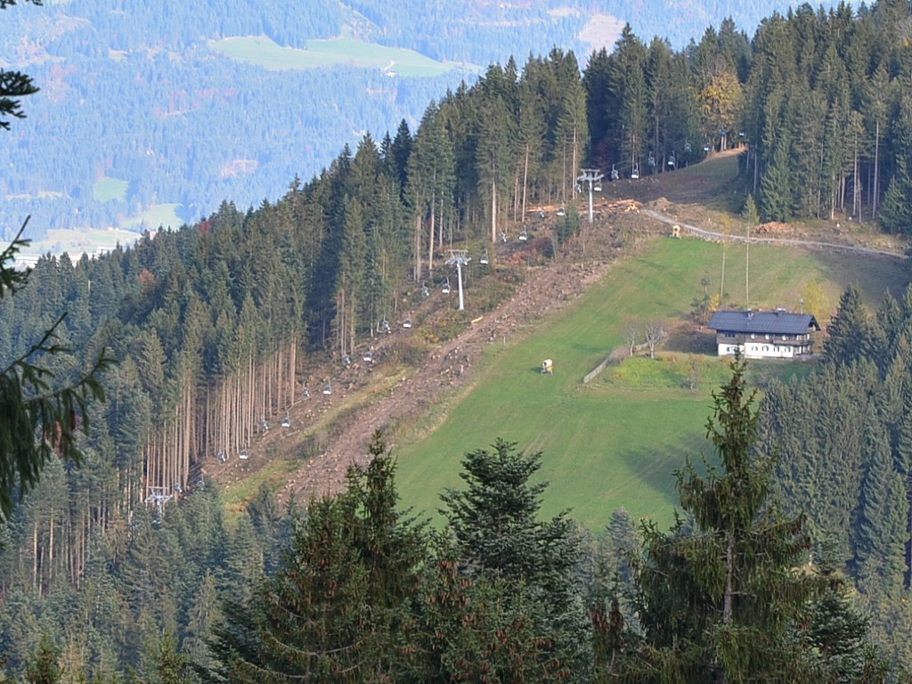 Mittlerer Teil der Trasse der Hausbergbahn