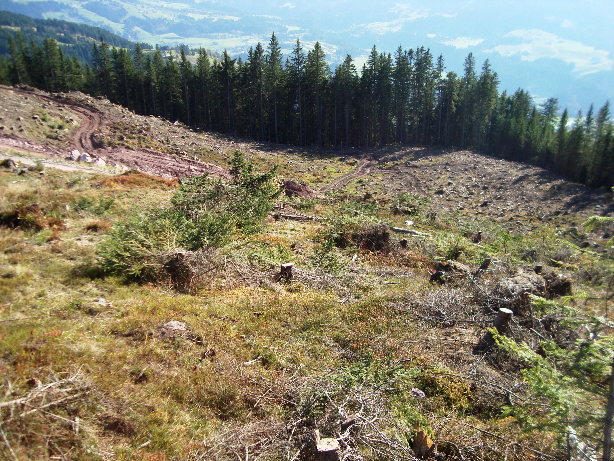 Skiwelt 26.10.2019 147.JPG