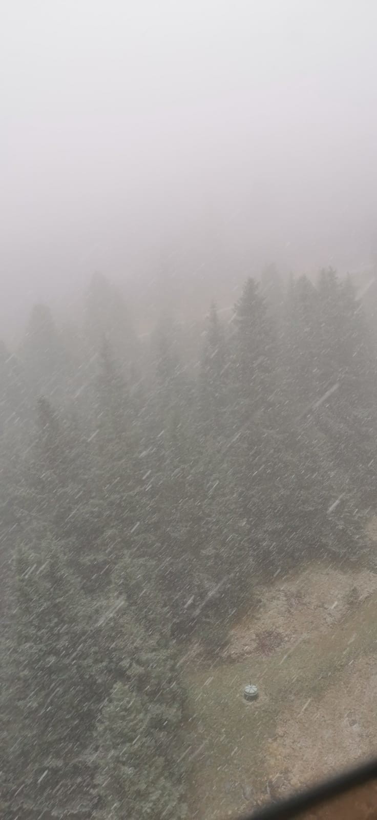 Gestern am Mittwoch schneite es zwar bis zur Talstation der Eisgratbahn aber der Schnee ist bis weit oben nicht richtig liegen geblieben.