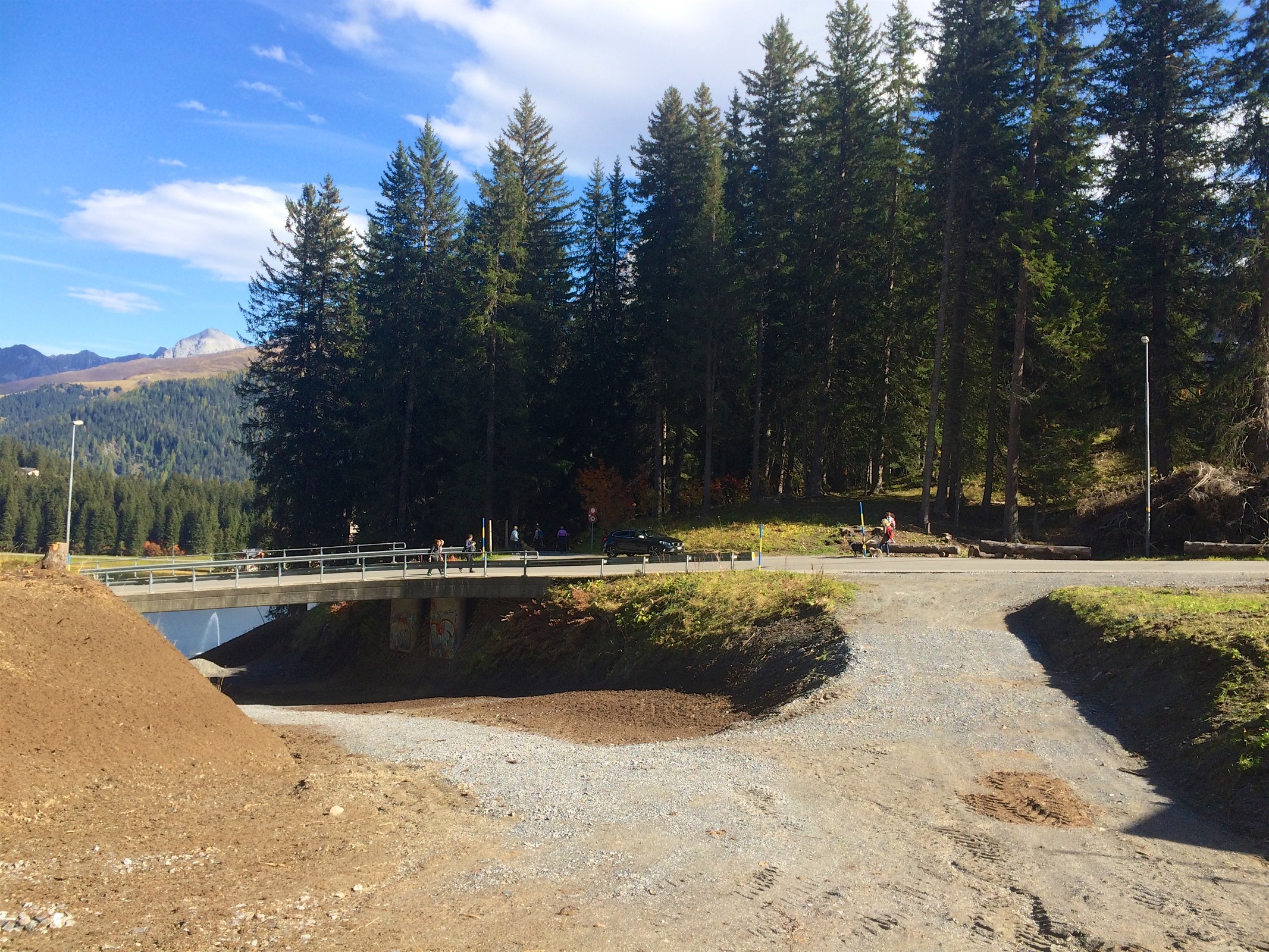 Zu-/Abgang Tomelistrasse/Waldhotel