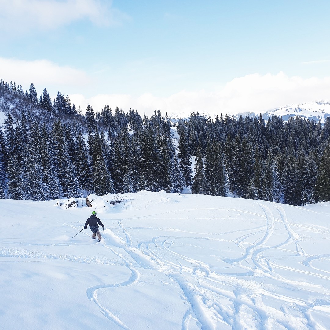 "Tief"schnee am Hornberg