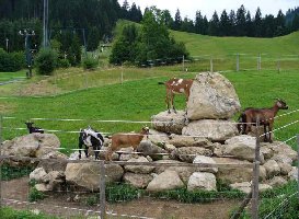 nach ca. 4 km kommt Unterammergau mit dem Steckenberg