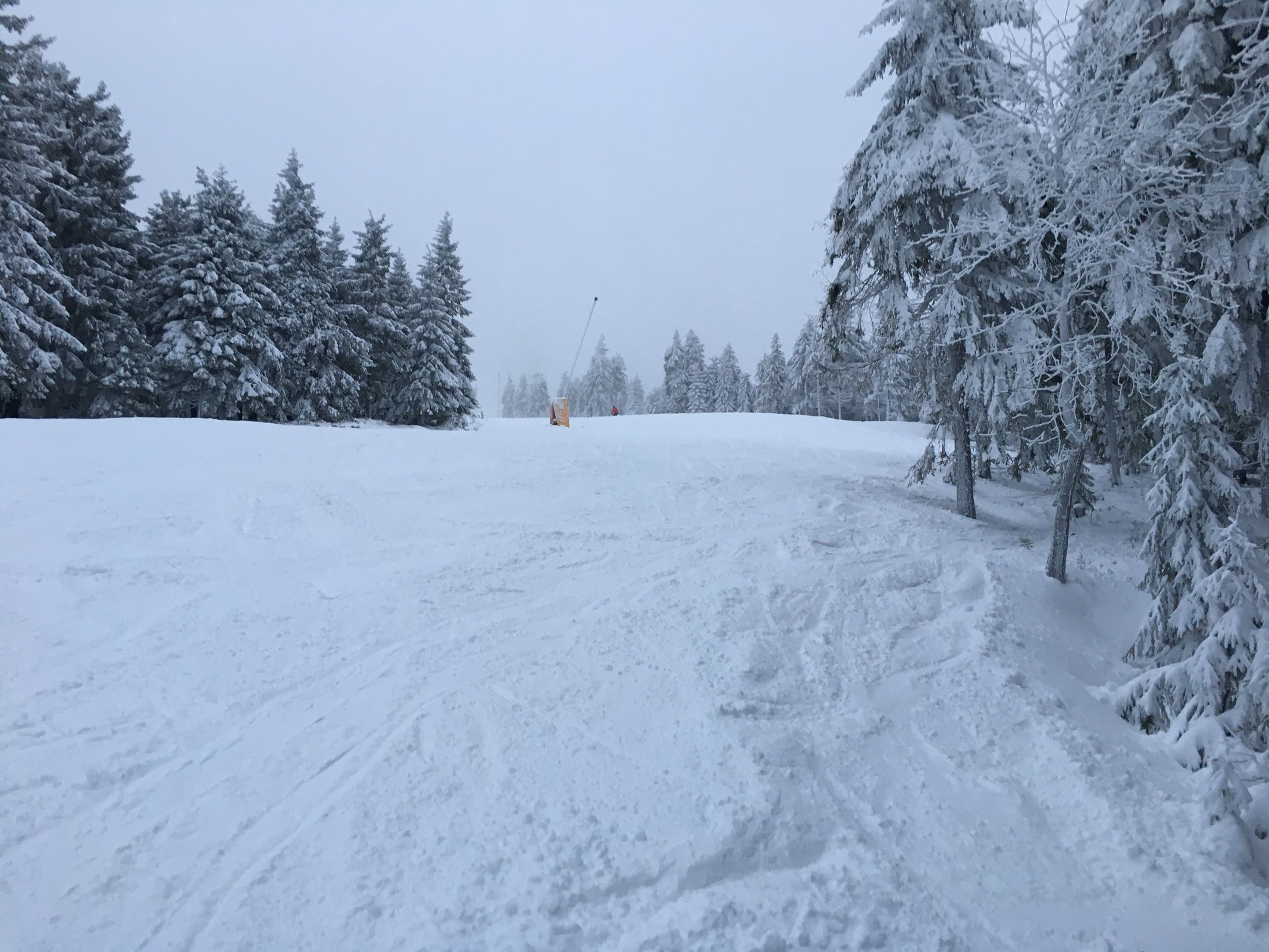 Die Daska unmittelbar nach der S-Kurve. Letztes Jahr war hier ein Fangzaun installiert.