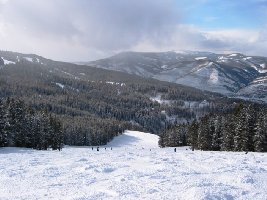 Flacherer Mittelteil, bevor weiter unten die &amp;quot;Tourist trap&amp;quot; abbricht... Sehr großzügig ausgeschlägerte Trasse, niemand braucht Platzangst zu bekommen. Hier übrigens eine Talabfahrt nachmittags, vergleicht das mal mit einigen Alpen-Gebieten...