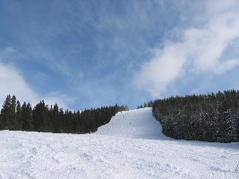 Riva Ridge - die längste und beste Piste in Vail, hier bucklig mit frischem Pulver.