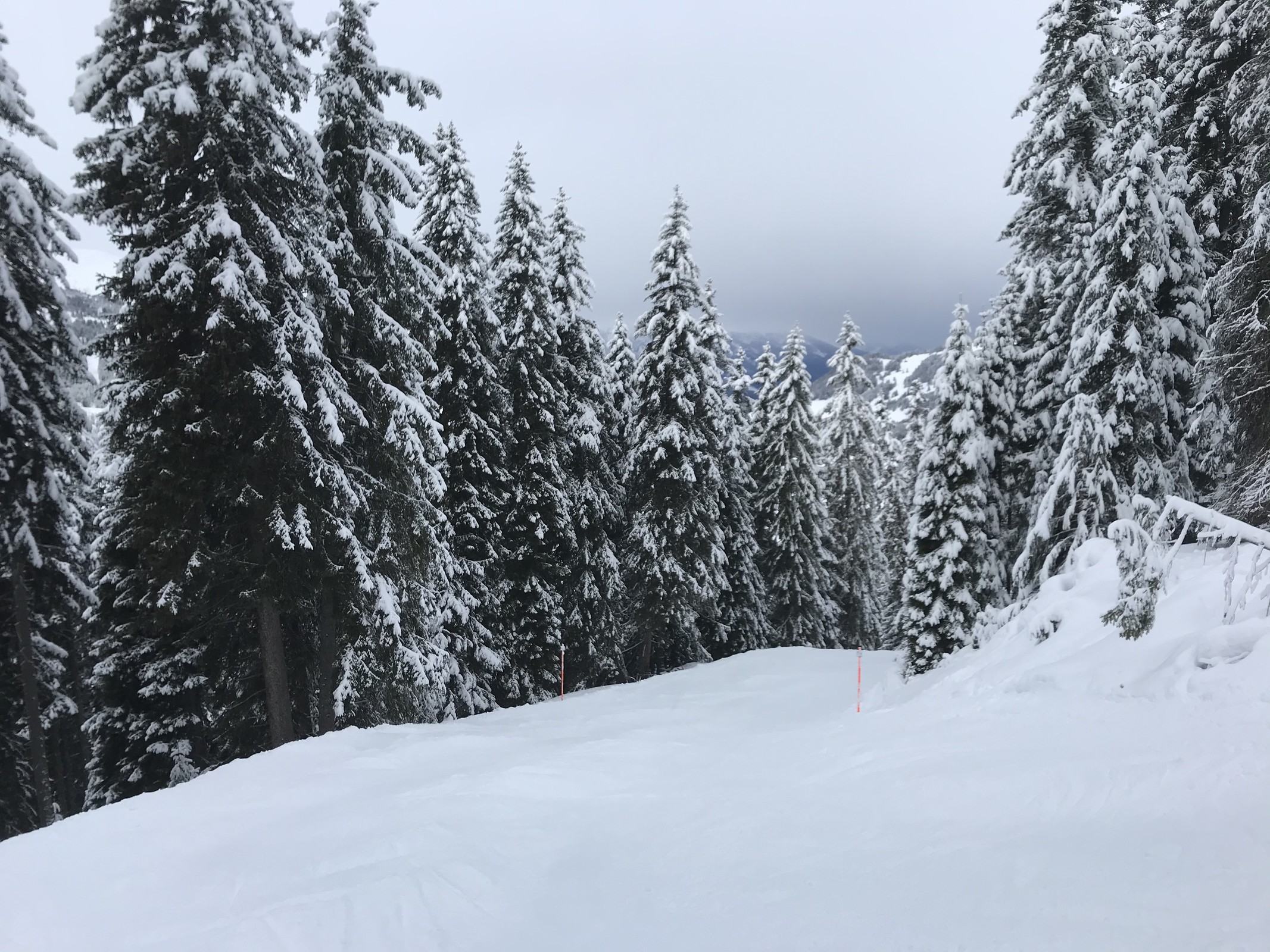 Und auch der Älpliweg ist wieder in dunkelrotem statt blauen Zustand.