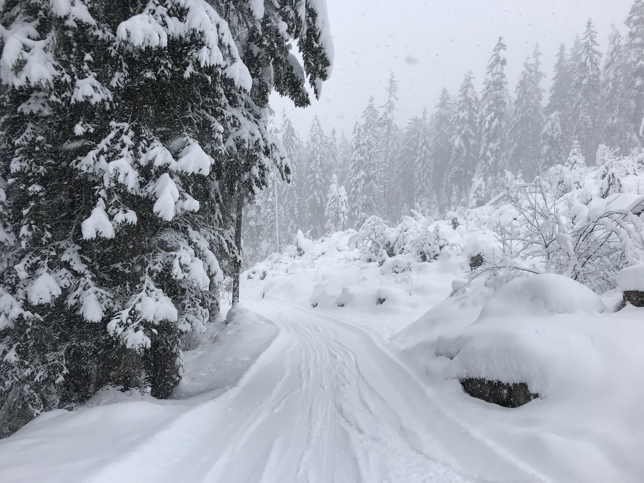 tiefster Winter im Runcawald