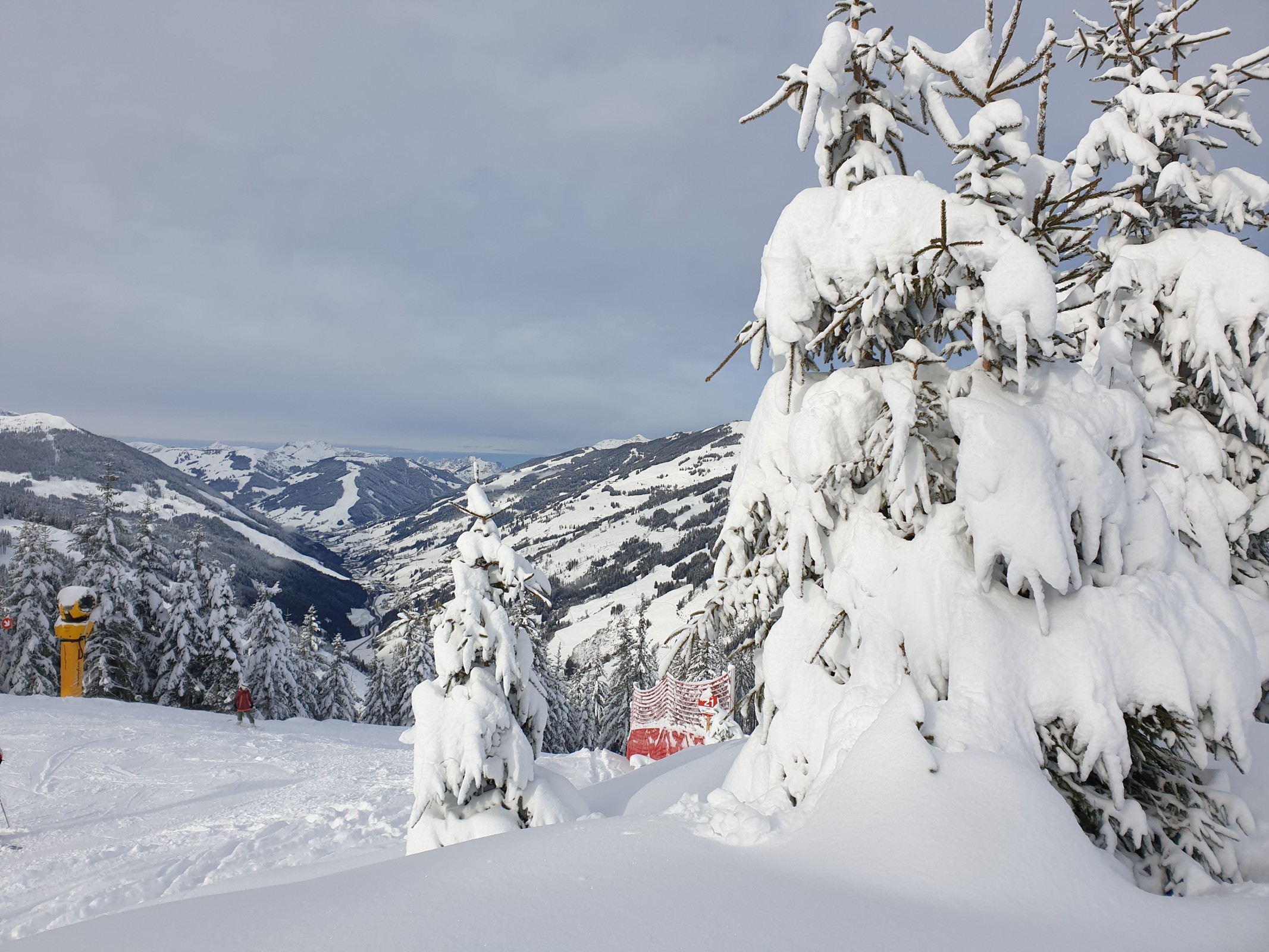 11.40 Uhr: Blick auf verschneite Fichten :), Tannwaldabfahrt (Nr. 21), ins Glemmtal und ganz hinten in der Mitte Bernkogel, Höhe ca. 1.575 m