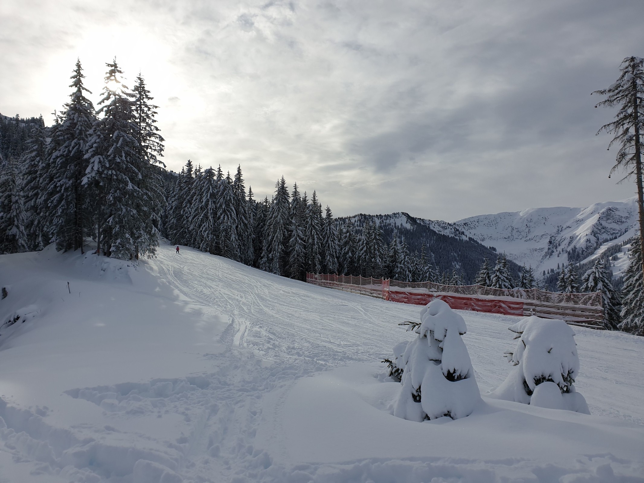 11.40 Uhr: Selbe Stelle, bergwärts fotografiert, Höhe ca. 1.578 m
