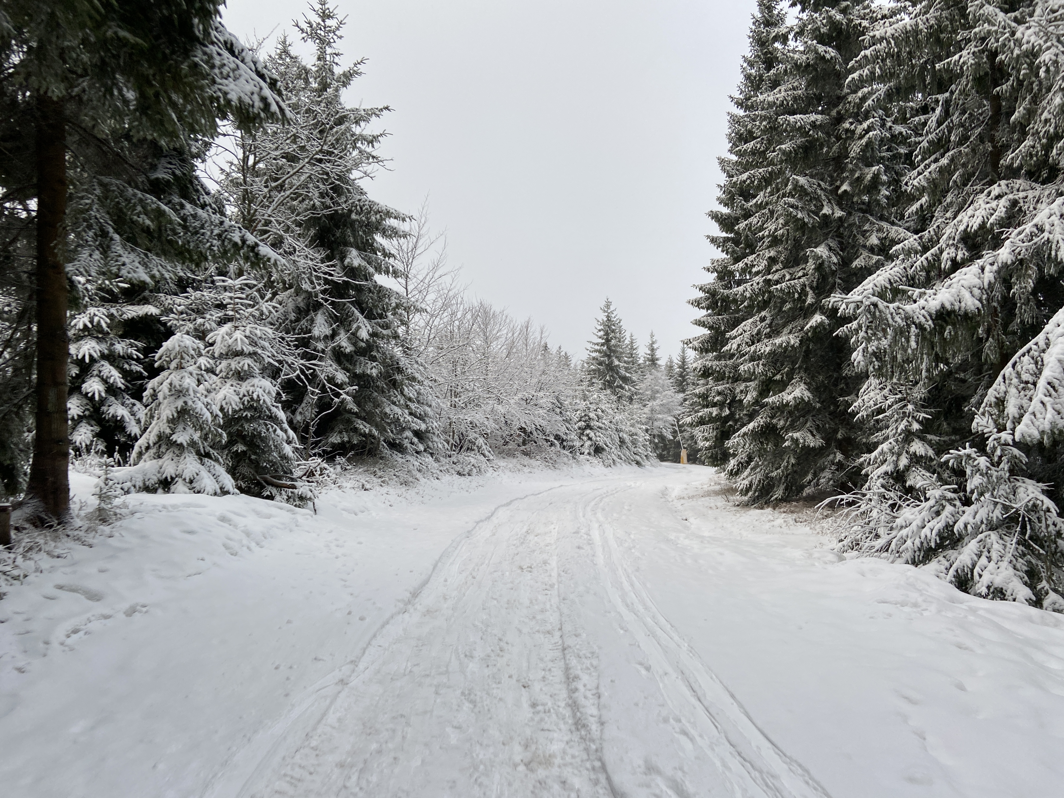 Ziehweg 3b oben ausreichend Schnee