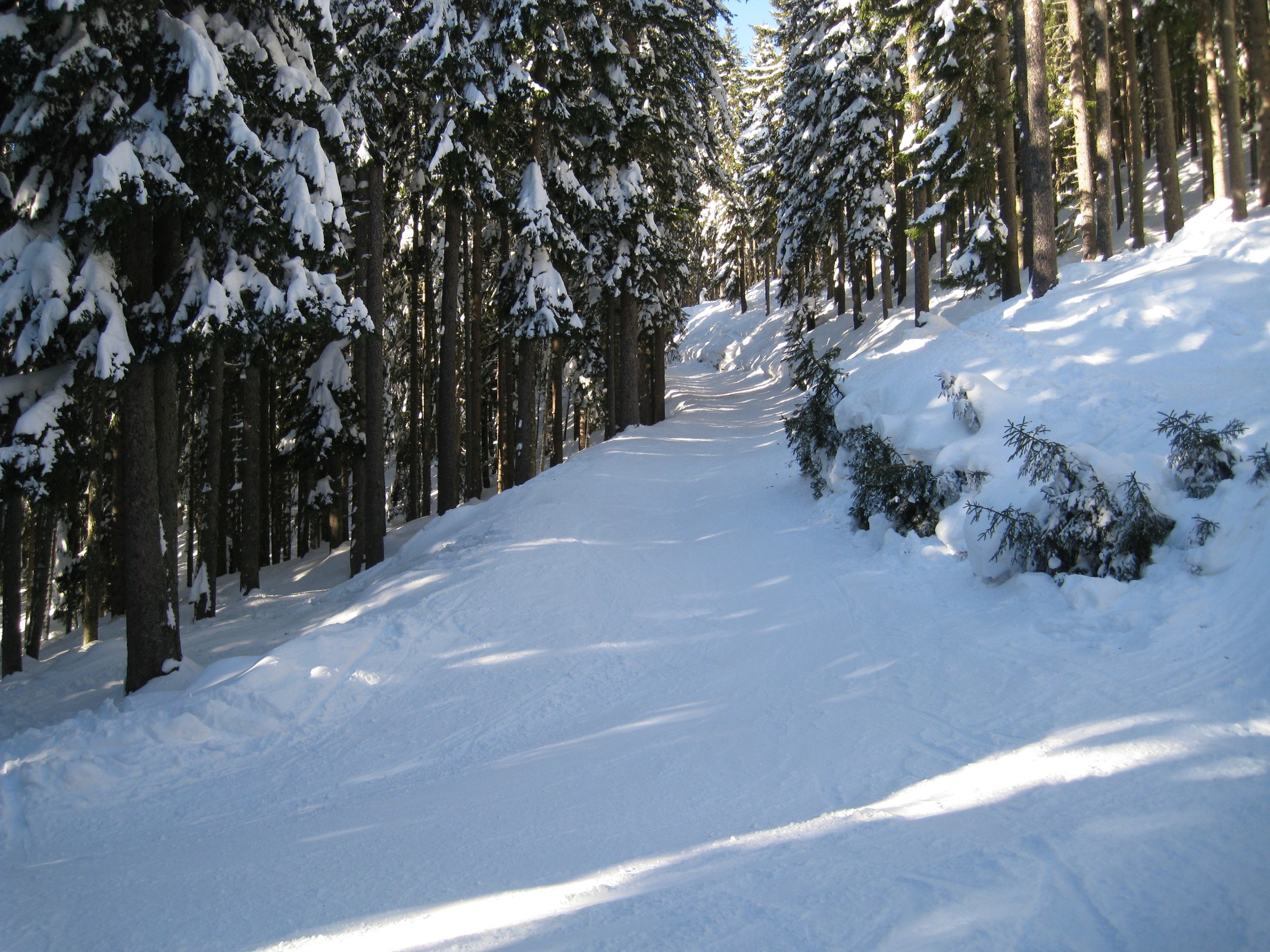 10.54 Uhr: In der präparierten X7 Eiskanal Route - Blick bergwärts