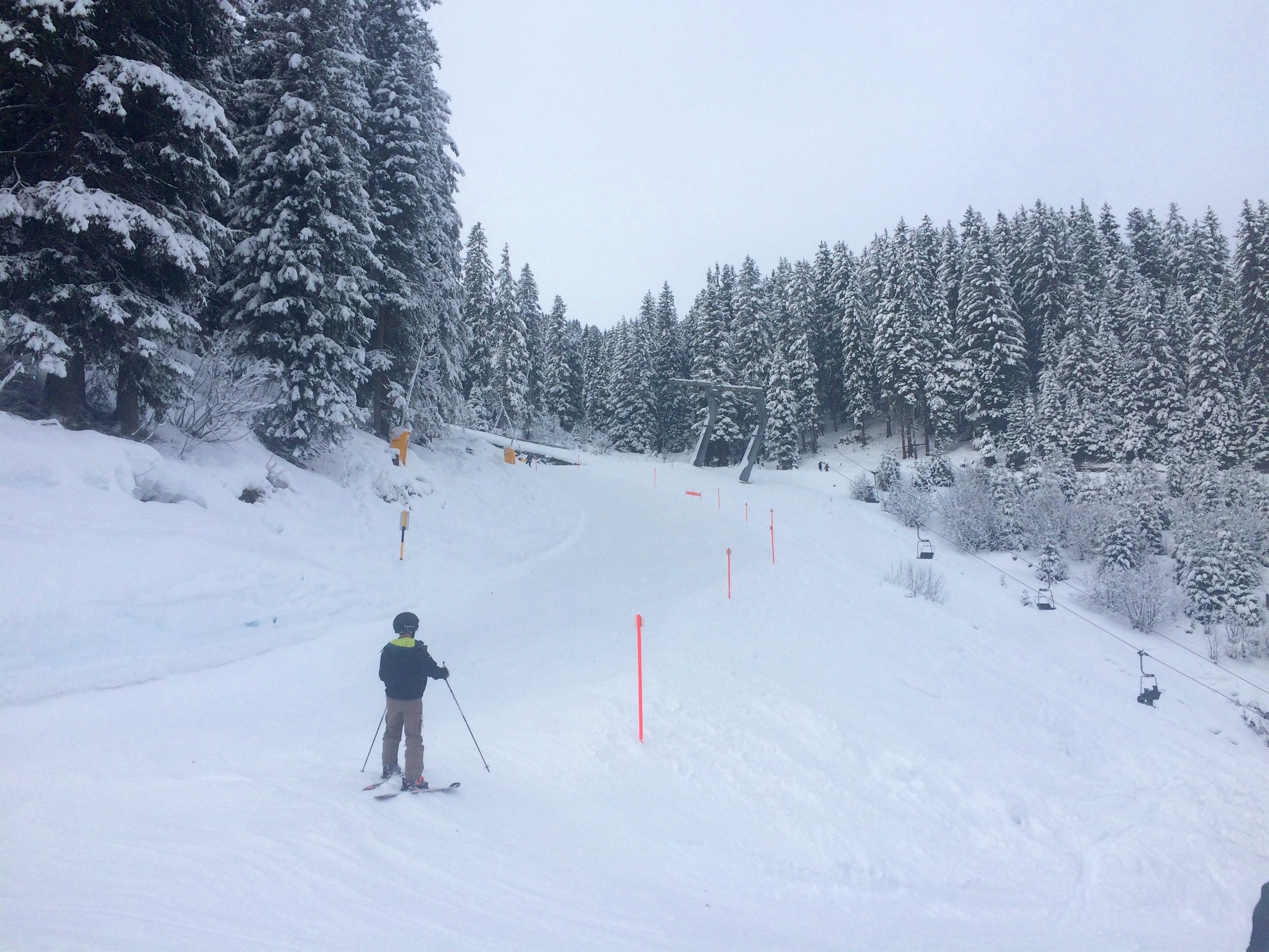 Durch das Entfernen der Fichten unterhalb der Piste ist das frühere A-Netz am Pistenrand obsolet geworden.