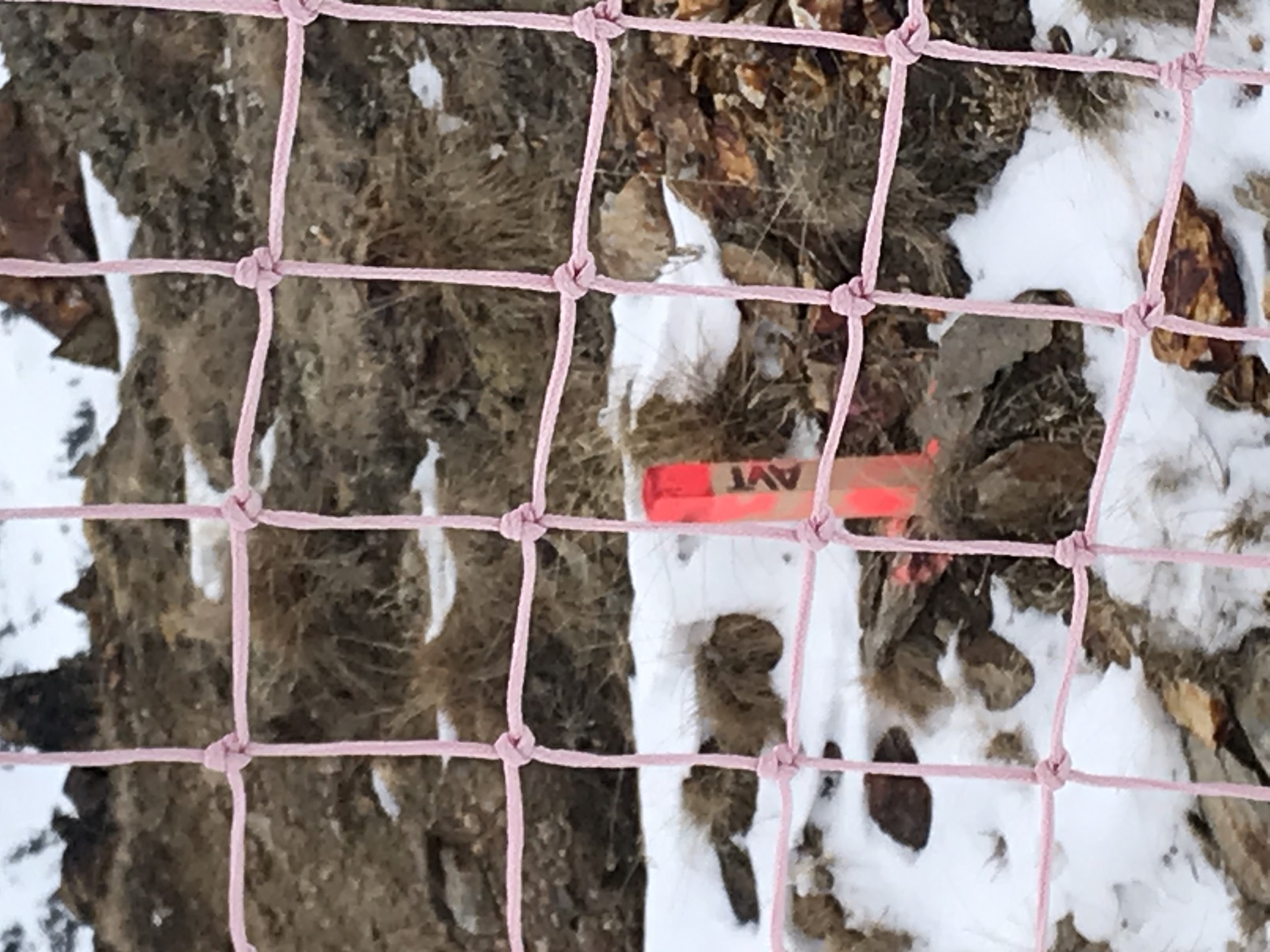 Vermessungspfosten EUB Rosskar