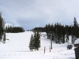 Idealer Carving-Hang!