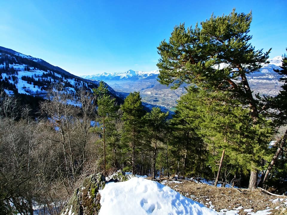 Blick ins Rhonetal auf der Fahrt in Richtung Nax
